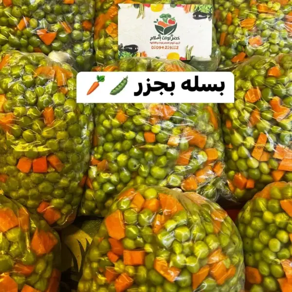بسله بجزر مجمده