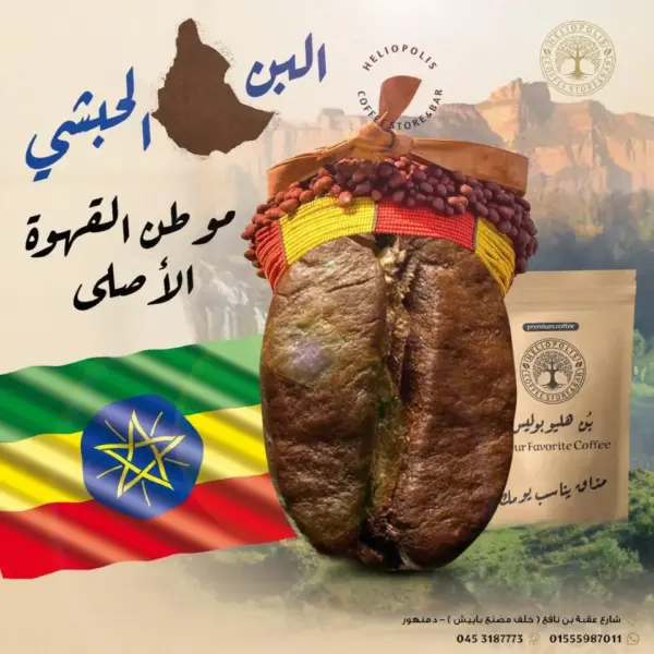بن حبشى