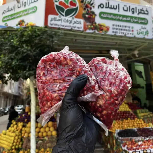 رمان مجمد