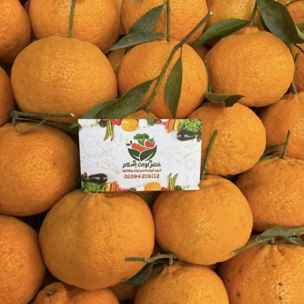 يوسفى بلدى فاخر