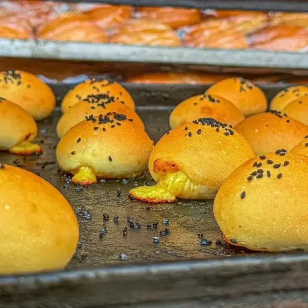حلبى جبنة رومى