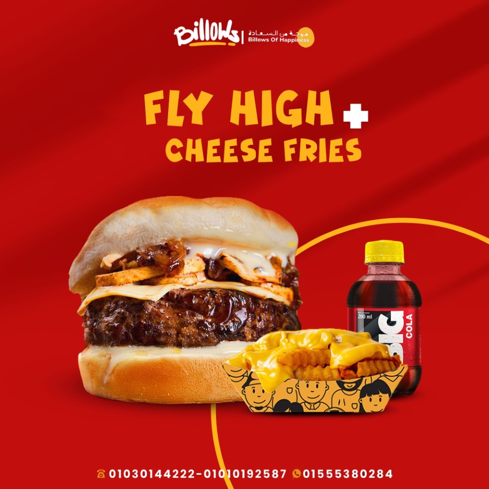 عرض فلاى هاى + تشيز فرايز